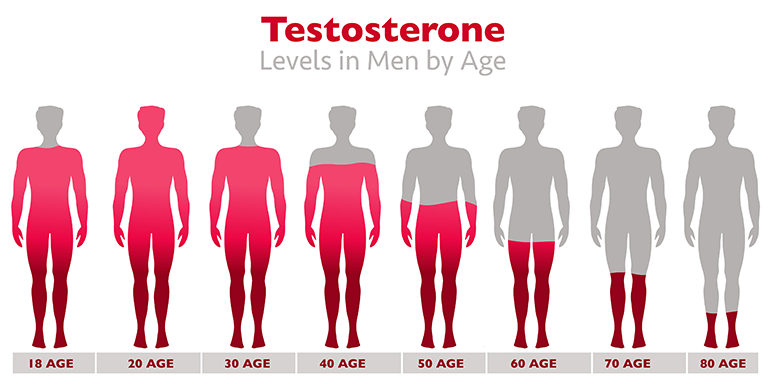 Testosterone: Functions, Levels, and How to Boost It